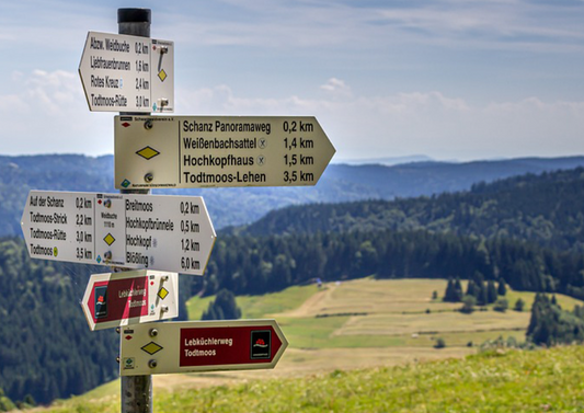 Camperroute door het Zwarte Woud