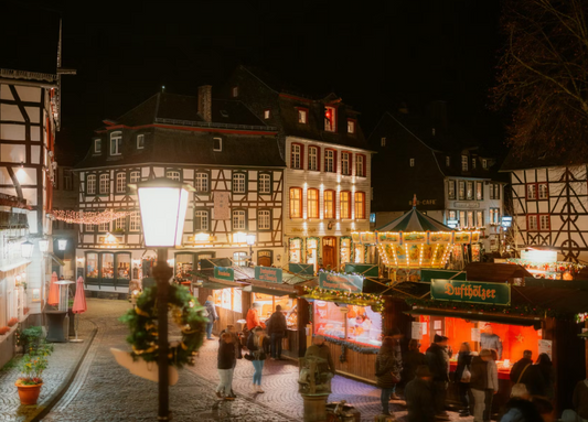 Vijf winteruitstapjes met de camper