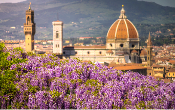 Rondreis Toscane | cultuur & natuur