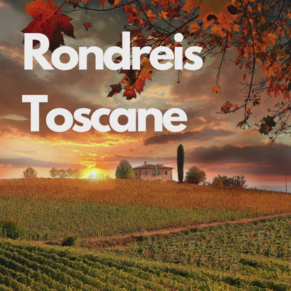 Rondreis Toscane